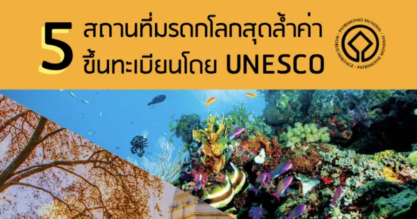 5 สถานที่มรดกโลกสุดล้ำค่า ขึ้นทะเบียนโดย UNESCO
