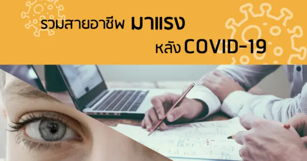 รวมสายอาชีพมาแรง หลัง COVID-19
