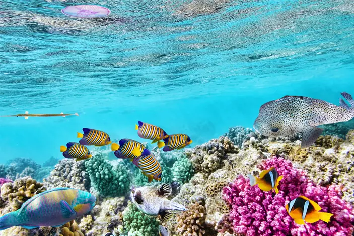Best-Place-To-See-The-Great-Barrier-Reef.png